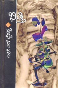 Picture of S.L.Bairappa's Bhitti(Hard Bound)