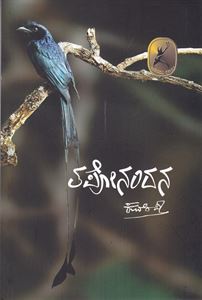 Picture of Taponandana