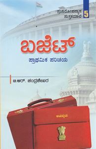 Picture of Budget