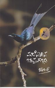 Picture of Malenadina Chitragalu