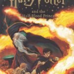 Harry Potter Vol -6