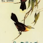 ಖಾಸ್ ಬಾತ್ 2007 / Khasbath 2007