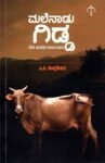 ಮಲೆನಾಡು ಗಿಡ್ಡ / Malenadu Gidda