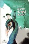 ನವಿಲು ಕೊಂದ ಹುಡುಗ / Navilu Konda Huduga