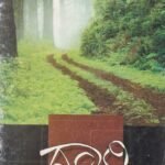 ದಾರಿ / Daari