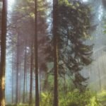 ಅರಣ್ಯ ಇಲಾಖೆ ಕೈಪಿಡಿ / Aranya Ilakhe Kaipidi