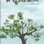 ಬ್ಯಾಟೆಮರ / Byatemara