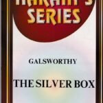 The Silver Box