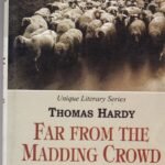 Far from the Madding Crowd