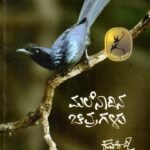 ಮಲೆನಾಡಿನ ಚಿತ್ರಗಳು / Malenadina Chitragalu