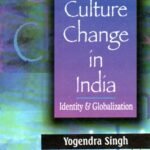 Culture Change in India Identity & Globalization