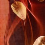 ಚುಟುಕು ಸಿರಿ / Chutuku Siri