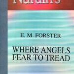 Where Angels Fear to Tread
