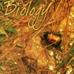 NCERT Biology Textbook for Class XI