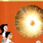 ಶಾಖ ಮತ್ತು ಶಬ್ದ / Shaakha Mattu Shabda