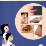 ಜ್ಞಾನೇಂದ್ರಿಯಗಳು / Jnaanendriyagalu