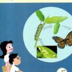 ಪ್ರಜನನ / Prajanana