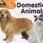 Kids Board Book Domestic Animals