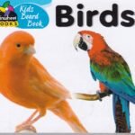 Kids Board Book Birds