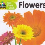 Kids Board Book Flowers