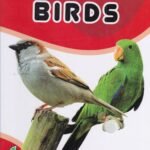 My First Board Book of Birds