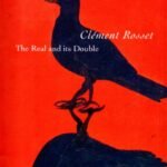 The Real and Its Double