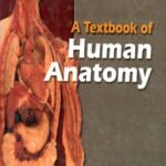 A Textbook of Human Anatomy