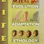 LIFE Evolution, Adaptation & Ethology