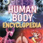 Human Body Encyclopedia