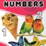 My First Board Book of Numbers