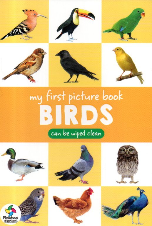 img20260112_19242519 My First Picture Book Birds - Image 1