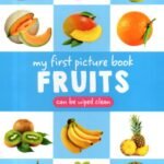 My First Picture Book Fruits