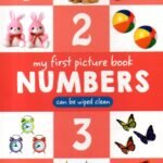 My First Picture Book Numbers