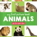 My First Picture Book Animals