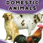 My First Board Book of Domestic Animals