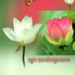 ವಿದ್ಯಾರ್ಥಿಗಾಗಿ / Vidyarthigaagi