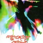 ನನ್ನನುಭವದ ಸೂಫಿ / Nannanubhavada Sufi