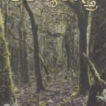 ಅರಣ್ಯಶಾಸ್ತ್ರ / Aranyashaastra