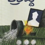 ಕನಸುಗಳ ಶ್ರಾದ್ಧ / Kanasugala Shradha