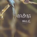 ಅನಿಕೇತನ / Aniketana