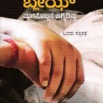 ಬ್ಲೇಝ್ / Blaze